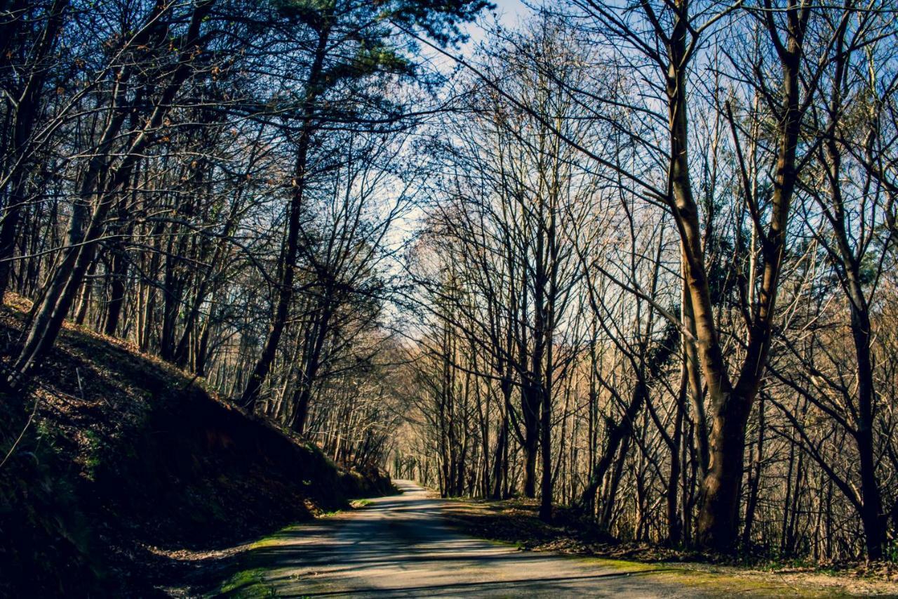 Posada De Bielva Exteriér fotografie